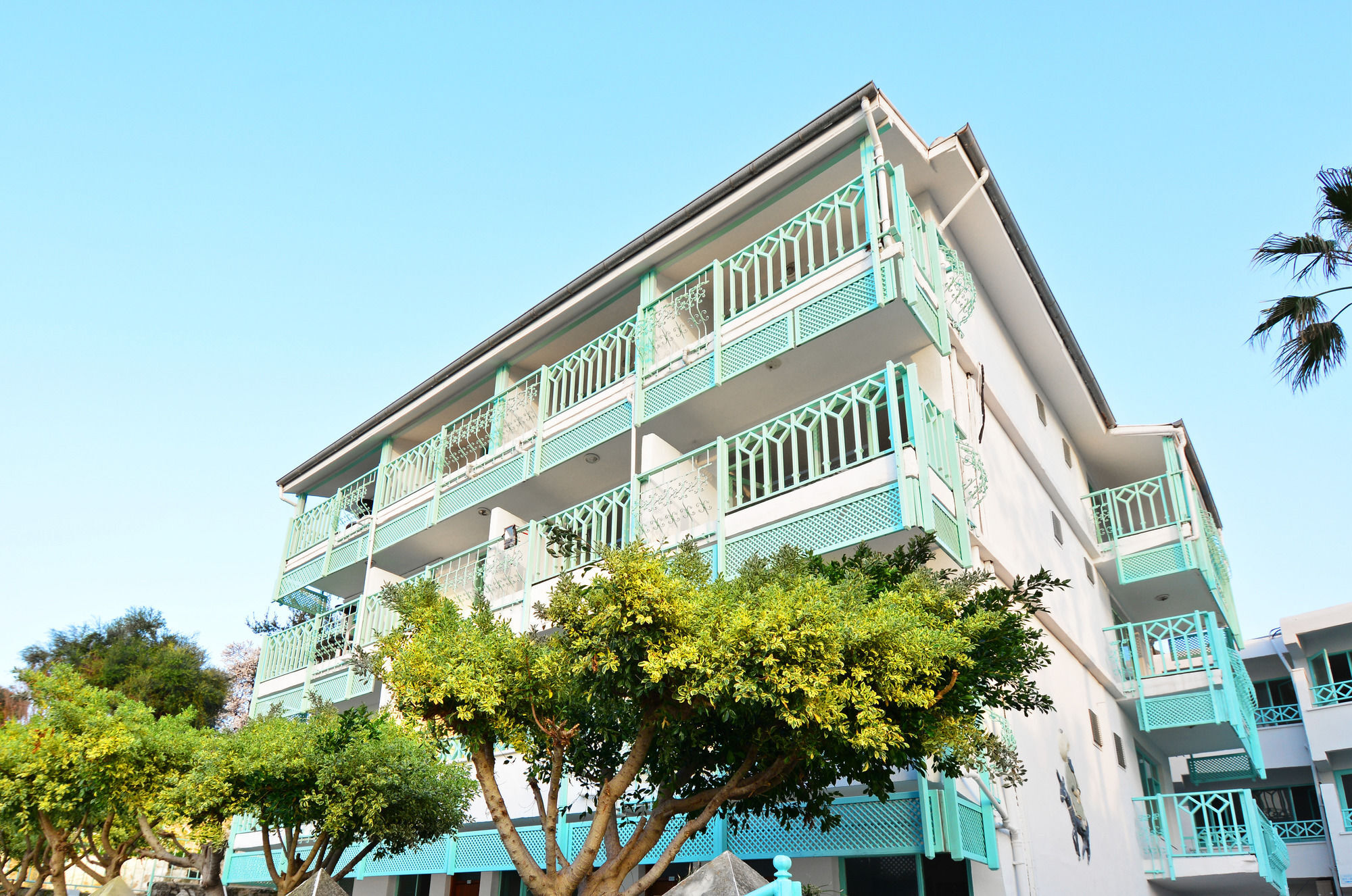 Side Kleopatra Hotel エクステリア 写真
